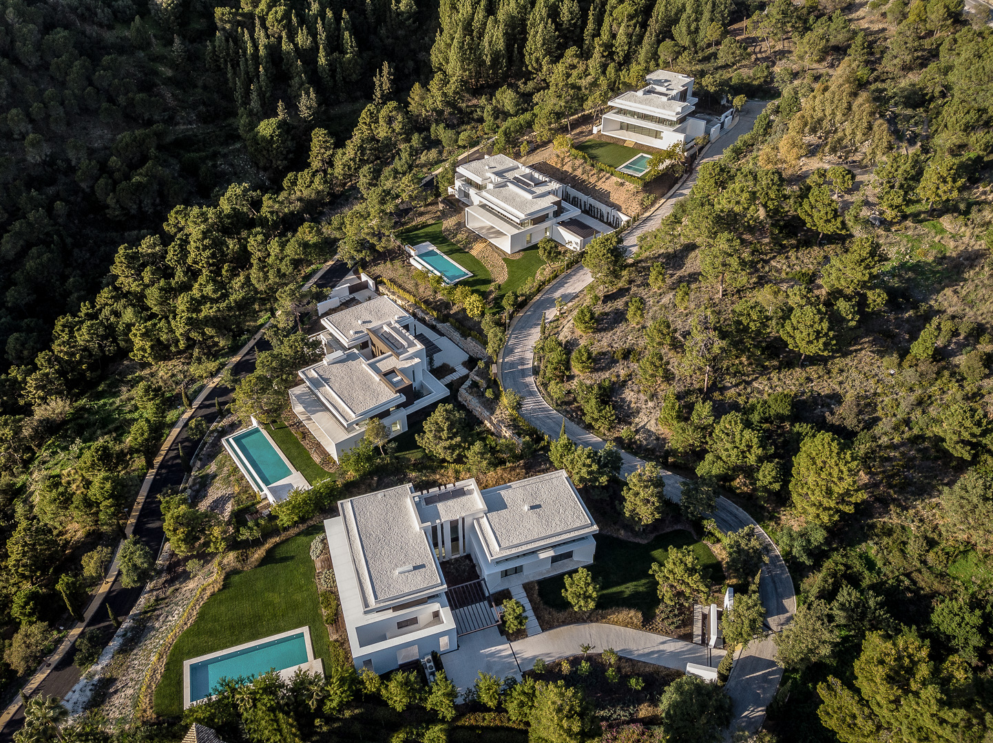 El Bosque